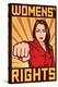 Women's Rights Poster-null-Stretched Canvas
