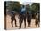 Women Sing and Dance Before the Bull Jumping, Turmi, Ethiopia-Jane Sweeney-Premier Image Canvas