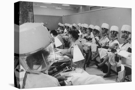 Women under Hair Dryers Getting Hair Styled in Beauty Salon at Saks Fifth Ave. Department Store-Alfred Eisenstaedt-Premier Image Canvas