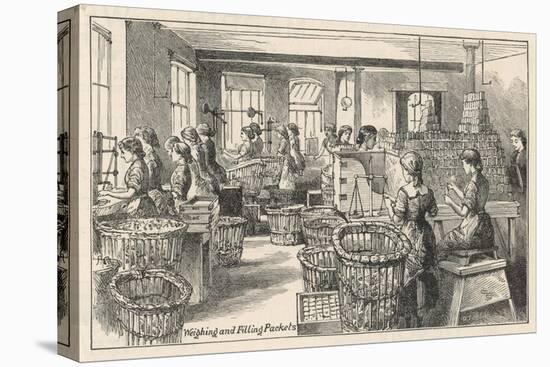 Women Weighing Chocolate and Filling Packets in the Fry's Chocolate Factory in Bristol-null-Stretched Canvas