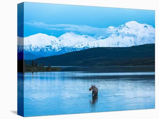 Wonder Lake in Denali National Park, Alaska.-Howard Newcomb-Premier Image Canvas