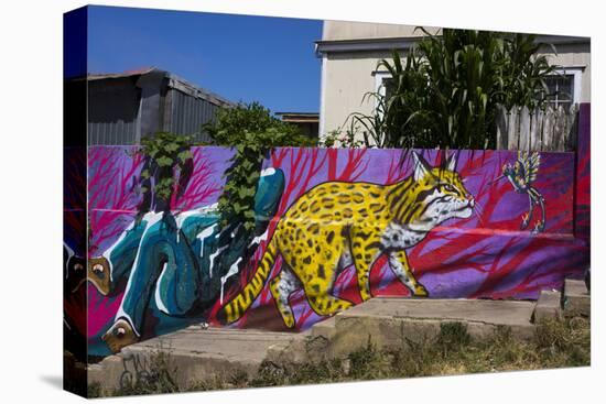 Wonderful Graffiti, Valparaiso, Chile-Peter Groenendijk-Premier Image Canvas