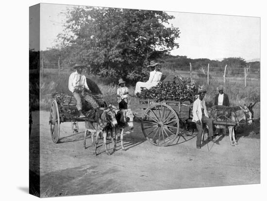 Wood Carts, Jamaica, C1905-Adolphe & Son Duperly-Premier Image Canvas