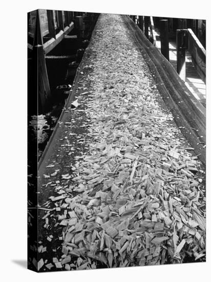 Wood Chips on Conveyor Belt after Passing Through Chipper and Heading for Next Stage at Paper Mill-Margaret Bourke-White-Premier Image Canvas