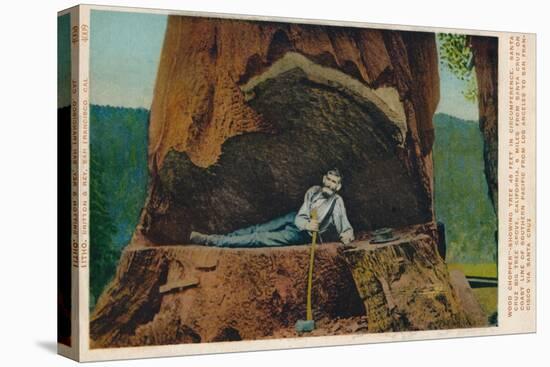 Wood Chopper-Showing Tree 46 Feet in Circumference. Santa Cruz Big Tree Grove, California, c1909-Unknown-Premier Image Canvas