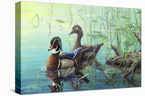 Wood Ducks-Jeff Tift-Premier Image Canvas