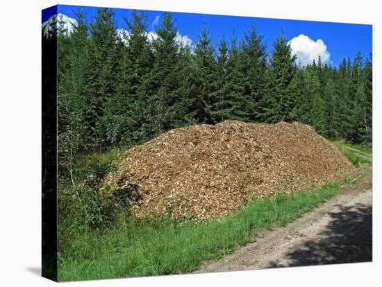 Wood for Biomass Power Plant-Bjorn Svensson-Premier Image Canvas