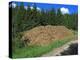 Wood for Biomass Power Plant-Bjorn Svensson-Premier Image Canvas