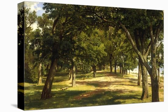 Wood Glade, 1889-Ivan Ivanovitch Shishkin-Premier Image Canvas