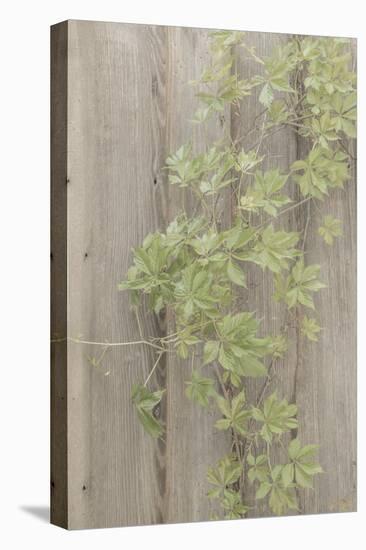 Wood Metal and Vine 4-null-Premier Image Canvas