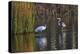 Wood Stork-Gary Carter-Premier Image Canvas