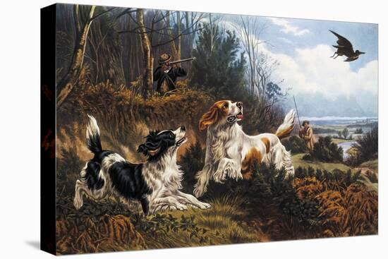 Woodcock Hunting, 1880-Basil Bradley-Premier Image Canvas