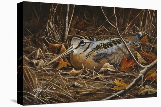 Woodcock in Hiding-Wilhelm Goebel-Premier Image Canvas