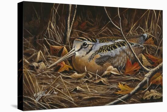 Woodcock in Hiding-Wilhelm Goebel-Premier Image Canvas