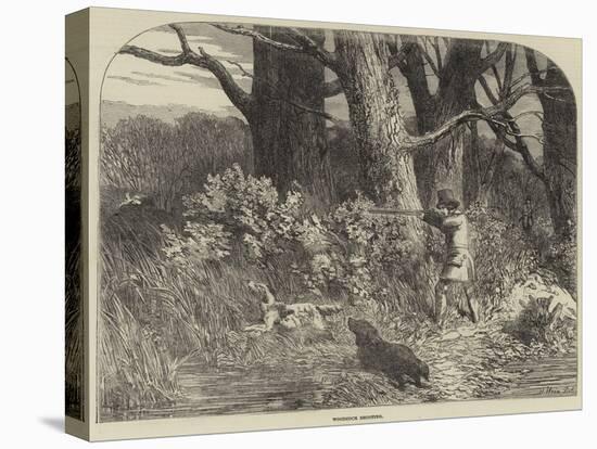 Woodcock Shooting-Harrison William Weir-Premier Image Canvas