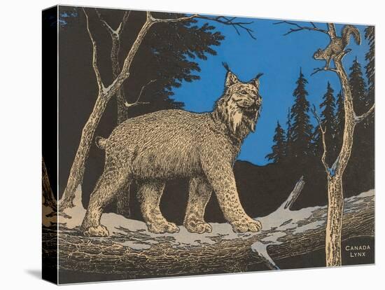Woodcut of Canada Lynx-null-Stretched Canvas