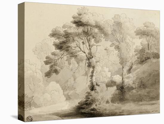 Wooded landscape, 1774-Francis Towne-Premier Image Canvas