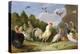Wooded Landscape with a Cock, Turkey, Hens and Other Birds, 17th Century-Jan van Kessel the Elder-Premier Image Canvas