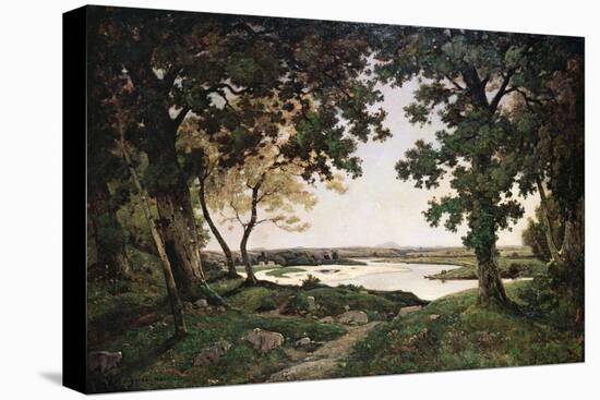 Wooded Landscape with a Sandy River, 1882-Henri-Joseph Harpignies-Premier Image Canvas