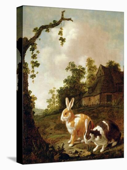 Wooded Landscape with Two Hares-Dirck Wyntrack-Premier Image Canvas
