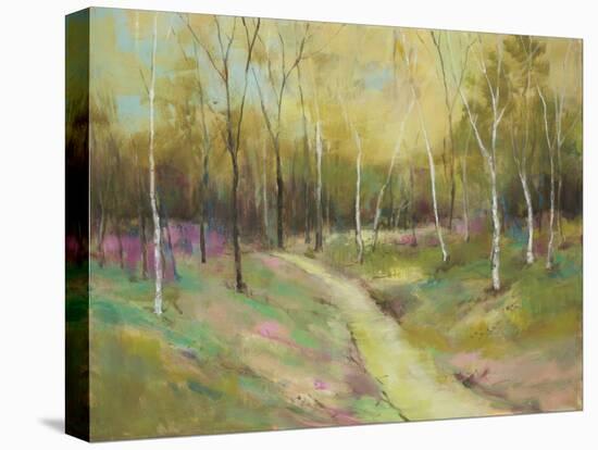 Wooded Pathway II-Julie Joy-Stretched Canvas