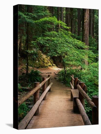 Wooden Bridge Along Sol Duc Falls Trail-James Randklev-Premier Image Canvas