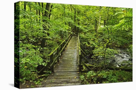 Wooden Bridge, Holzbachtal, Westerwald, Rhineland-Palatinate, Germany, Europe-Jochen Schlenker-Premier Image Canvas