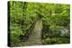 Wooden Bridge, Holzbachtal, Westerwald, Rhineland-Palatinate, Germany, Europe-Jochen Schlenker-Premier Image Canvas