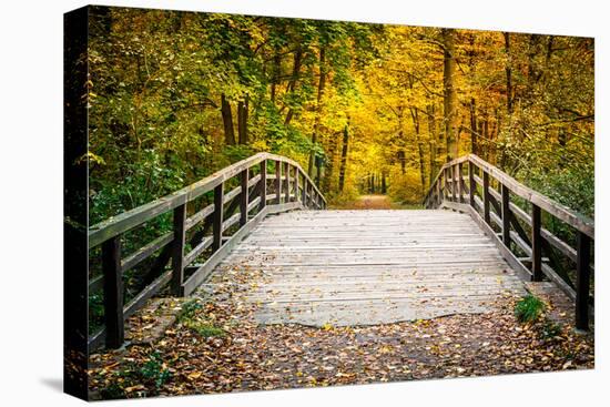 Wooden Bridge in the Autumn Park-sborisov-Premier Image Canvas