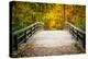 Wooden Bridge in the Autumn Park-sborisov-Premier Image Canvas