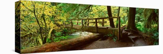 Wooden Bridge in the Hoh Rainforest, Olympic National Park, Washington-null-Stretched Canvas