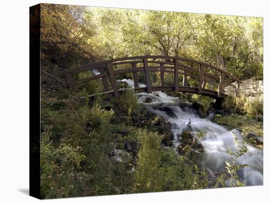 Wooden Bridge Over a Flowing Stream-null-Premier Image Canvas