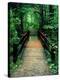 Wooden Bridge, Sundell, Michigan ‘90-Monte Nagler-Premier Image Canvas