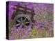 Wooden Cart in Field of Phlox, Blue Bonnets, and Oak Trees, Near Devine, Texas, USA-Darrell Gulin-Premier Image Canvas