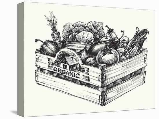 Wooden Crate Full of Organic Food Isolated, Farm Organic Vegetables, Organic Word Written in the Wo-Danussa-Stretched Canvas