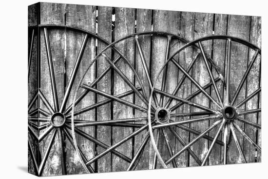 Wooden fence and old wagon wheels, Charleston, South Carolina-Darrell Gulin-Premier Image Canvas