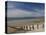 Wooden Groyne on the Beach at Amroth, Pembrokeshire, Wales, United Kingdom-Rob Cousins-Premier Image Canvas