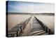 Wooden Groynes on a Sandy Beach, Leading to Sand Dunes, Domburg, Zeeland, the Netherlands, Europe-Mark Doherty-Premier Image Canvas