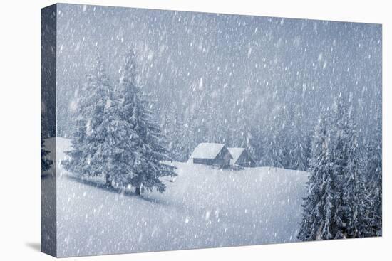 Wooden House in Winter Forest-mr. Smith-Premier Image Canvas