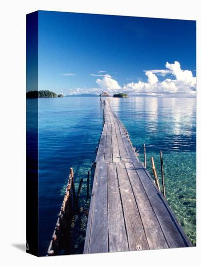 Wooden Jetty Extending off Kadidiri Island, Togian Islands, Sulawesi-Jay Sturdevant-Premier Image Canvas