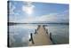 Wooden jetty in the morning with sun, Woerthsee, Fuenfseenland, Upper Bavaria, Bavaria, Germany-Raimund Linke-Premier Image Canvas