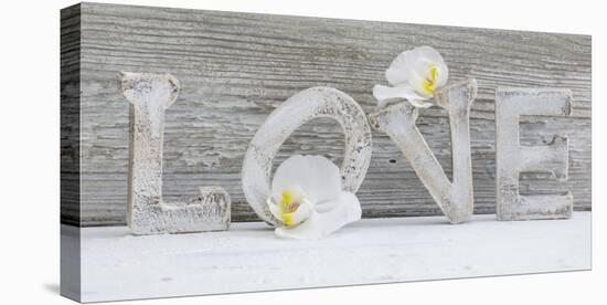 Wooden Letters 'Love' with Orchid Blossoms-Uwe Merkel-Premier Image Canvas