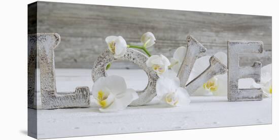 Wooden Letters 'Love' with Orchid Blossoms-Uwe Merkel-Premier Image Canvas