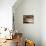 Wooden Oars-Savanah Plank-Stretched Canvas displayed on a wall