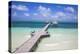 Wooden Pier, Playa El Paso, Cayo Guillermo, Jardines Del Rey, Ciego De Avila Province-Jane Sweeney-Premier Image Canvas