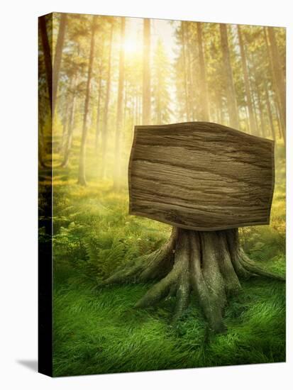 Wooden Sign in the Magic Dark Forest-egal-Premier Image Canvas