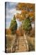 Wooden Steps In Autumn, Marquette, Michigan '12-Monte Nagler-Premier Image Canvas