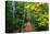 Wooden Walking Trail in Acadia National Park, Maine, USA-Joanne Wells-Premier Image Canvas