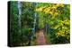 Wooden Walking Trail in Acadia National Park, Maine, USA-Joanne Wells-Premier Image Canvas
