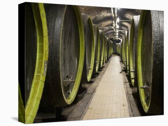 Wooden Wine Barrels, Rosa Coeli Wine Cellar, Dolni Kounice, Brnensko, Czech Republic, Europe-Richard Nebesky-Premier Image Canvas